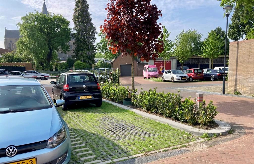 Boom en groenparkeren.jpg